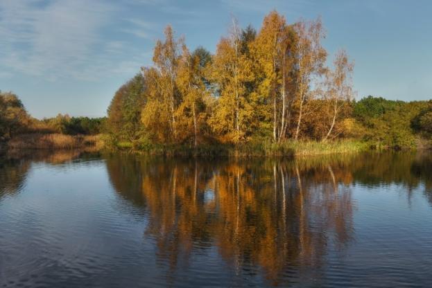 faucardage site aquatique 